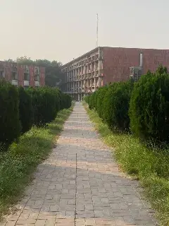 Panjab University Chandigarh Campus photo 17